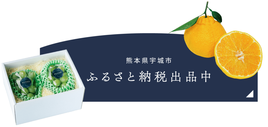 ふるさと納税出品中